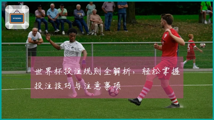 世界杯投注规则全解析，轻松掌握投注技巧与注意事项