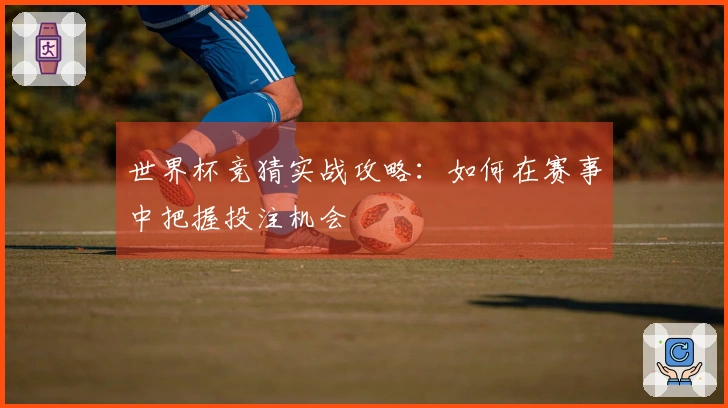 世界杯竞猜实战攻略：如何在赛事中把握投注机会