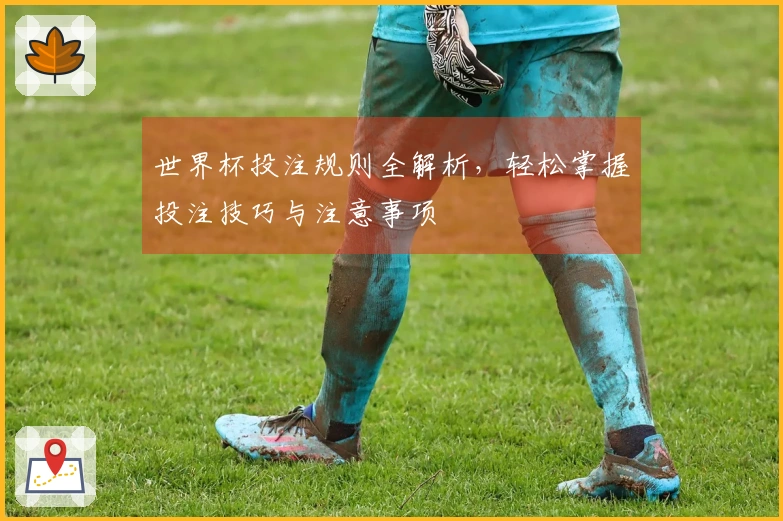 世界杯投注规则全解析，轻松掌握投注技巧与注意事项