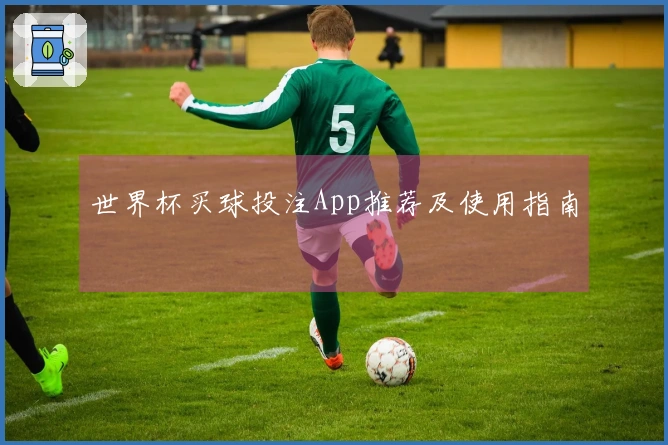 世界杯买球投注App推荐及使用指南