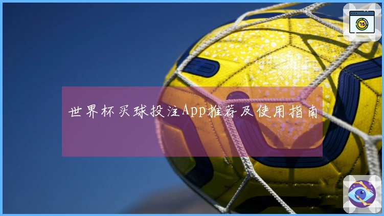 世界杯买球投注App推荐及使用指南