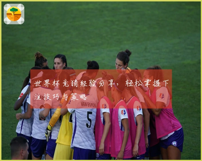 世界杯竞猜经验分享，轻松掌握下注技巧与策略