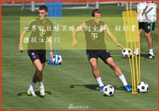 世界杯让球买球规则全解，轻松掌握投注窍门